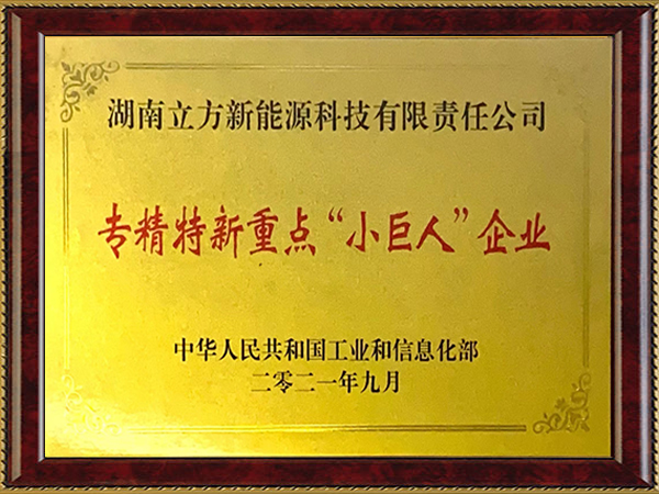 國(guó)家專精特新重點(diǎn)“小巨人”企業(yè)