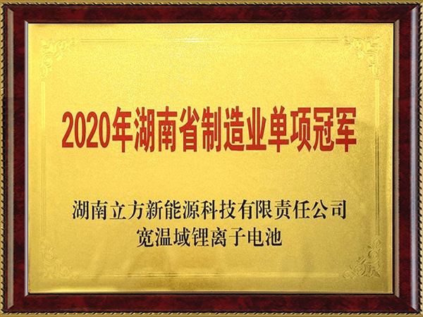 湖南省制造業(yè)單項(xiàng)冠軍